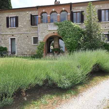 Rapolano Rapolano Terme